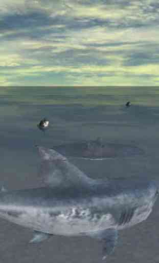 Attack Shark 3D Simulator 3