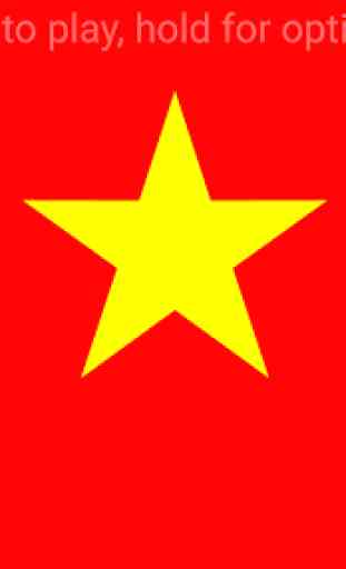 Chao co Viet Nam 2