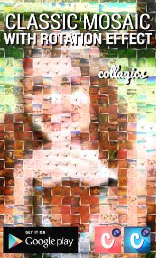 Collagics Photo Mosaic 3