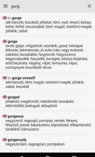 Hungarian Dictionary  1