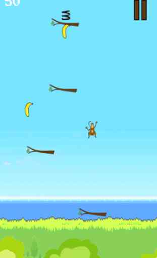 Monkey Jumper 3