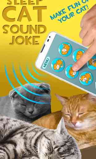 Sleep Cat Sound Joke 1