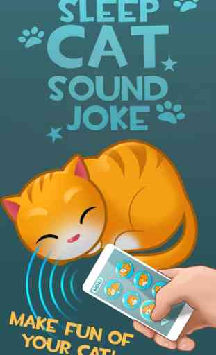 Sleep Cat Sound Joke 3