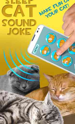 Sleep Cat Sound Joke 4