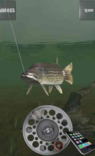 Fishing Arcade HD Free 4
