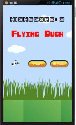 Flying Duck 1