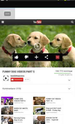 Funny Dogs on Video 2