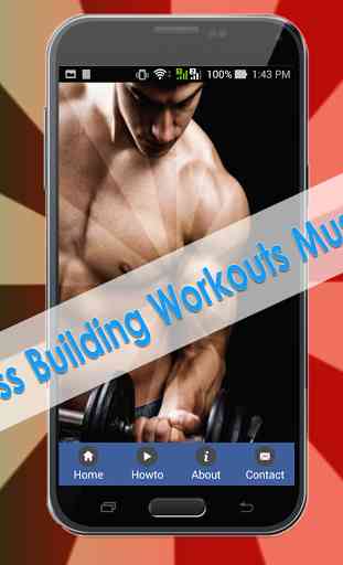 Mass Building Workouts Muscle 1