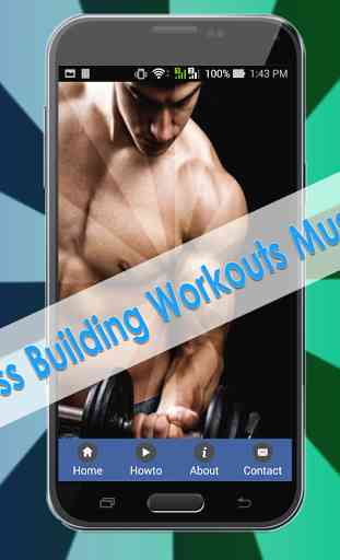 Mass Building Workouts Muscle 2