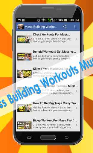 Mass Building Workouts Muscle 3