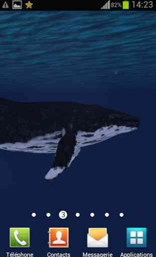 océan baleine fond écran animé 2