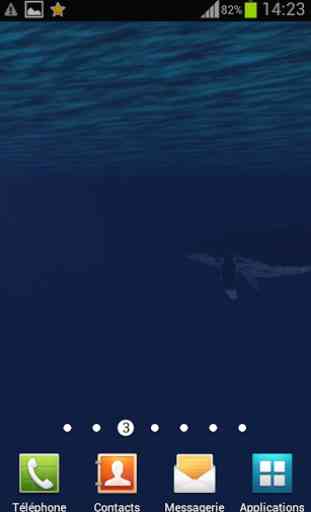 océan baleine fond écran animé 3