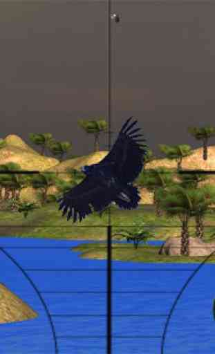 Oiseaux chasseur Afrique 4