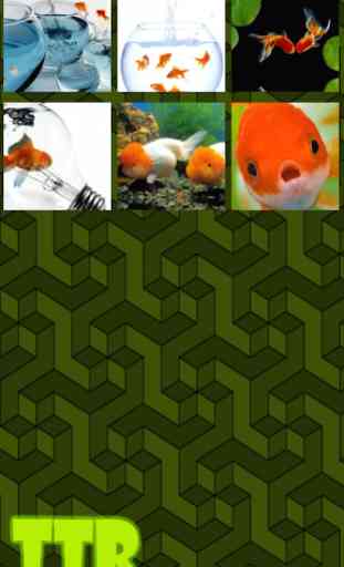 poisson rouge puzzle 3