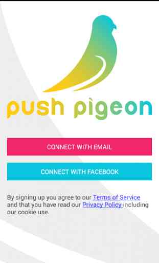 Push Pigeon 1