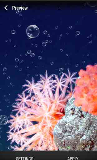 Récif Corallien Fond d'écran 1