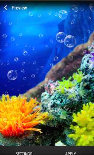 Récif Corallien Fond d'écran 2