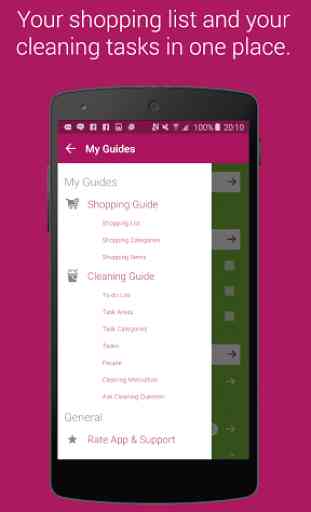 Shopping List & Cleaning Plan 2