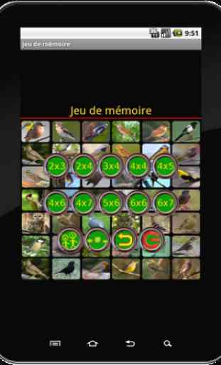 True Birds Memory Game 1