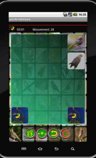 True Birds Memory Game 3