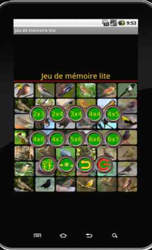 True Birds Memory Game Free 1