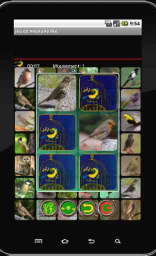 True Birds Memory Game Free 2