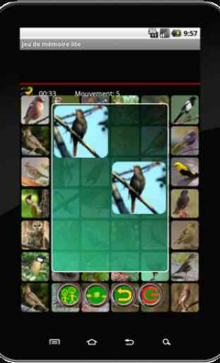 True Birds Memory Game Free 3