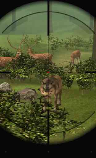 Wild Animal Sniper Hunter 3D 3