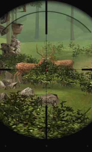 Wild Animal Sniper Hunter 3D 4