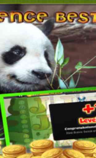 Untamed Giant Panda Casino Palace - By Ruby City Games! Spin hit the jackpot and win a fortune! 2