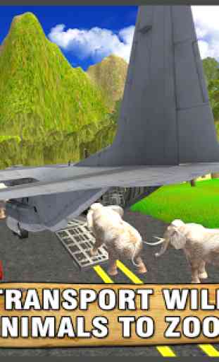 Cargo Plane Animal Transport 1