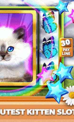 Casino Kitty - Free Cat Slots 2