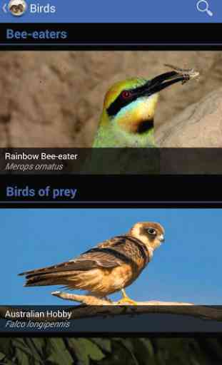 Field Guide to NSW Fauna 2