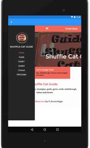 Guide For Shuffle Cat 2