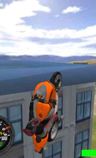 Lourds Bike Rider Stunts 3