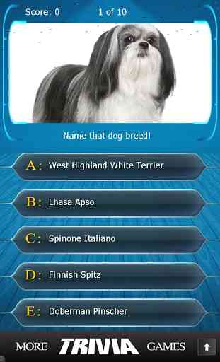 Name that Dog Breed Trivia 1