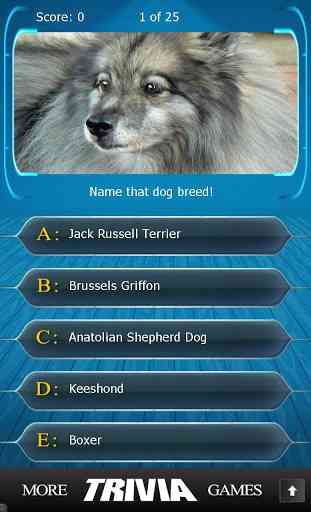 Name that Dog Breed Trivia 2