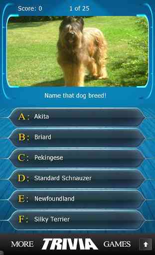 Name that Dog Breed Trivia 3