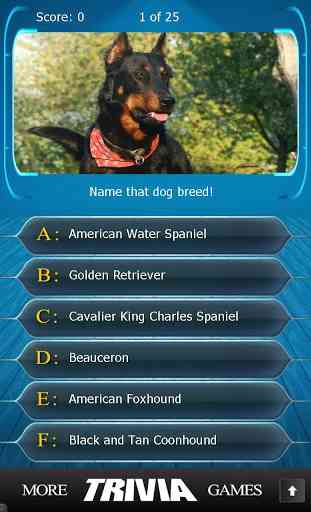 Name that Dog Breed Trivia 4
