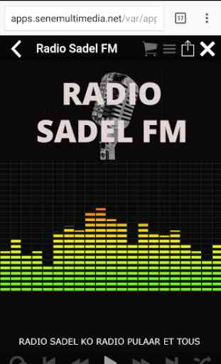 Sadel FM 2