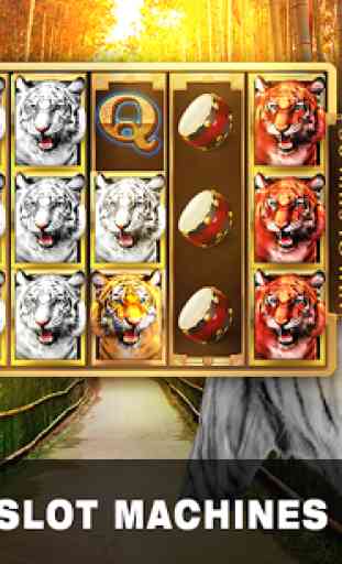 Slots Tiger King Casino Slots 2