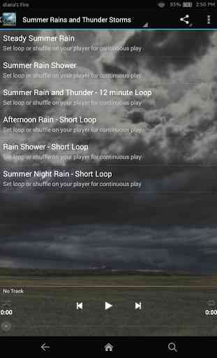 Summer Rain & Nighttime Sounds 2