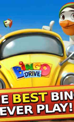 Bingo Drive 1