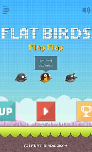 Flat Birds 1