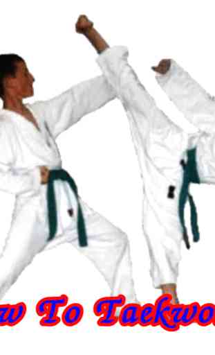 How To Taekwondo 1