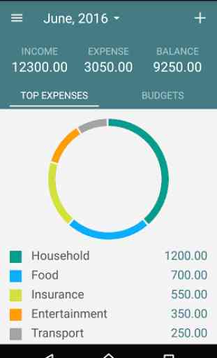 Monthly Budget 1