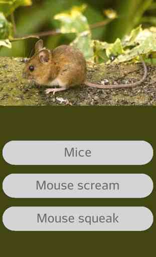 Mouse Sounds 1