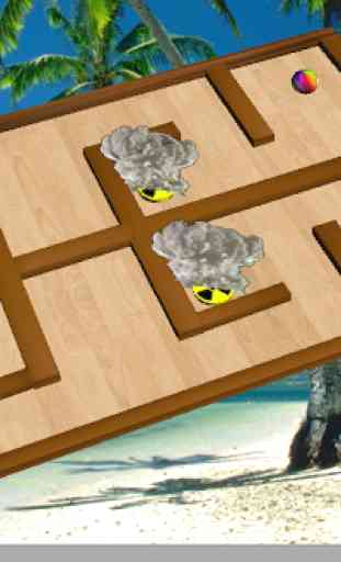 Survivor Fire Ball Maze 3D 3
