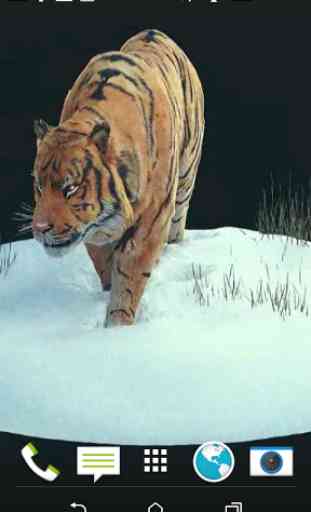 Tiger 3D Video Wallpaper 3