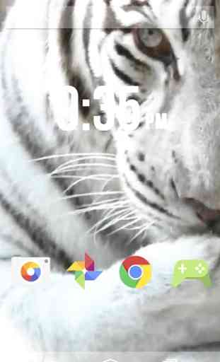 tigre blanc Live Wallpaper 3